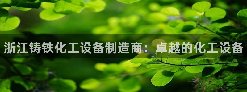 新宝gg登录了还能上吗：浙江铸铁化工设备制造商：卓越的化工设